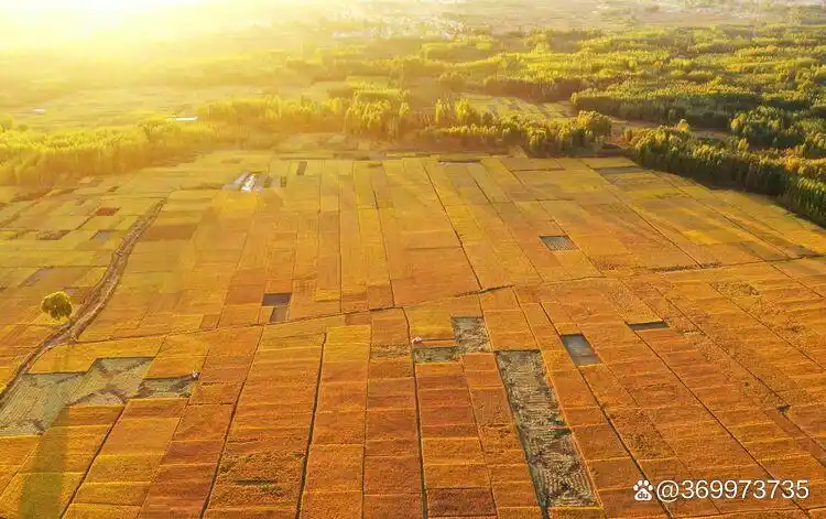 便捷性提升对产业链的影响分析_产业集群创新提升行动_产业互联网要提升国际竞争力