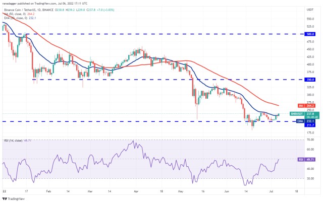 价格分析：BTC、ETH、BNB、XRP、ADA、SOL、DOGE、DOT、SHIB、LEO